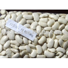 white kidney beans